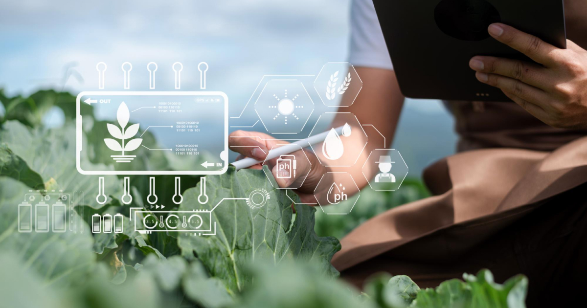 Farmer using tablet to monitor crop growth and soil conditions