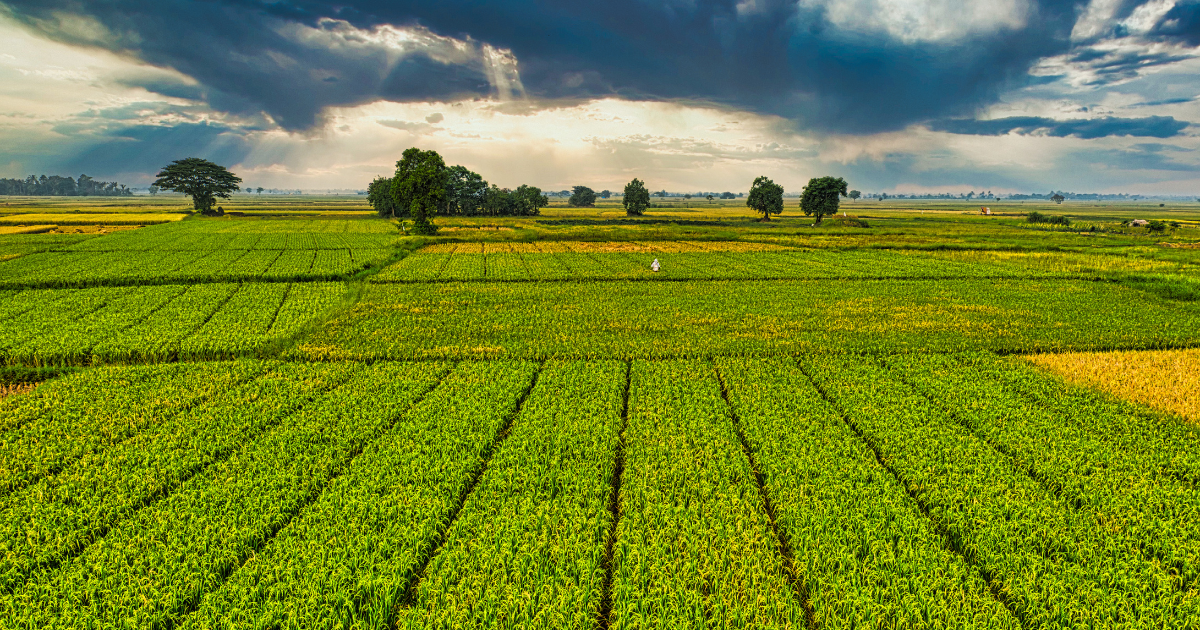 Gujarat Agriculture Water Filtration Guide | Manan Water Tech Pvt. Ltd.